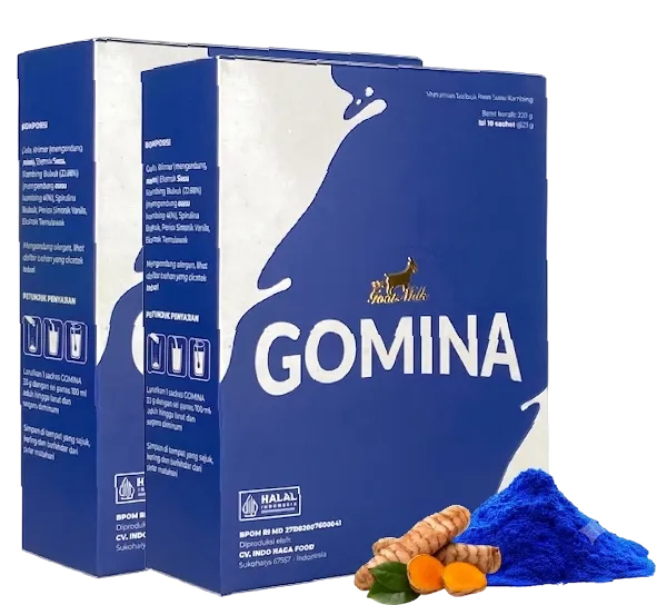 GOMINA 2 Box